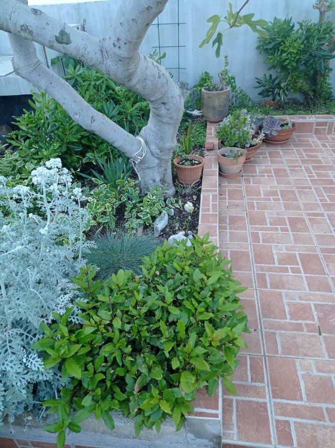 Casa vacanze Sugar House *
